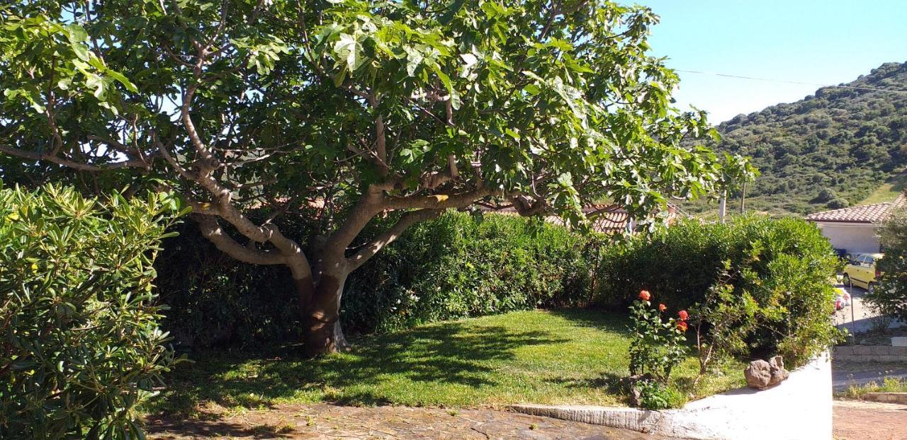 San Lorenzo  Casa Orvile מראה חיצוני תמונה